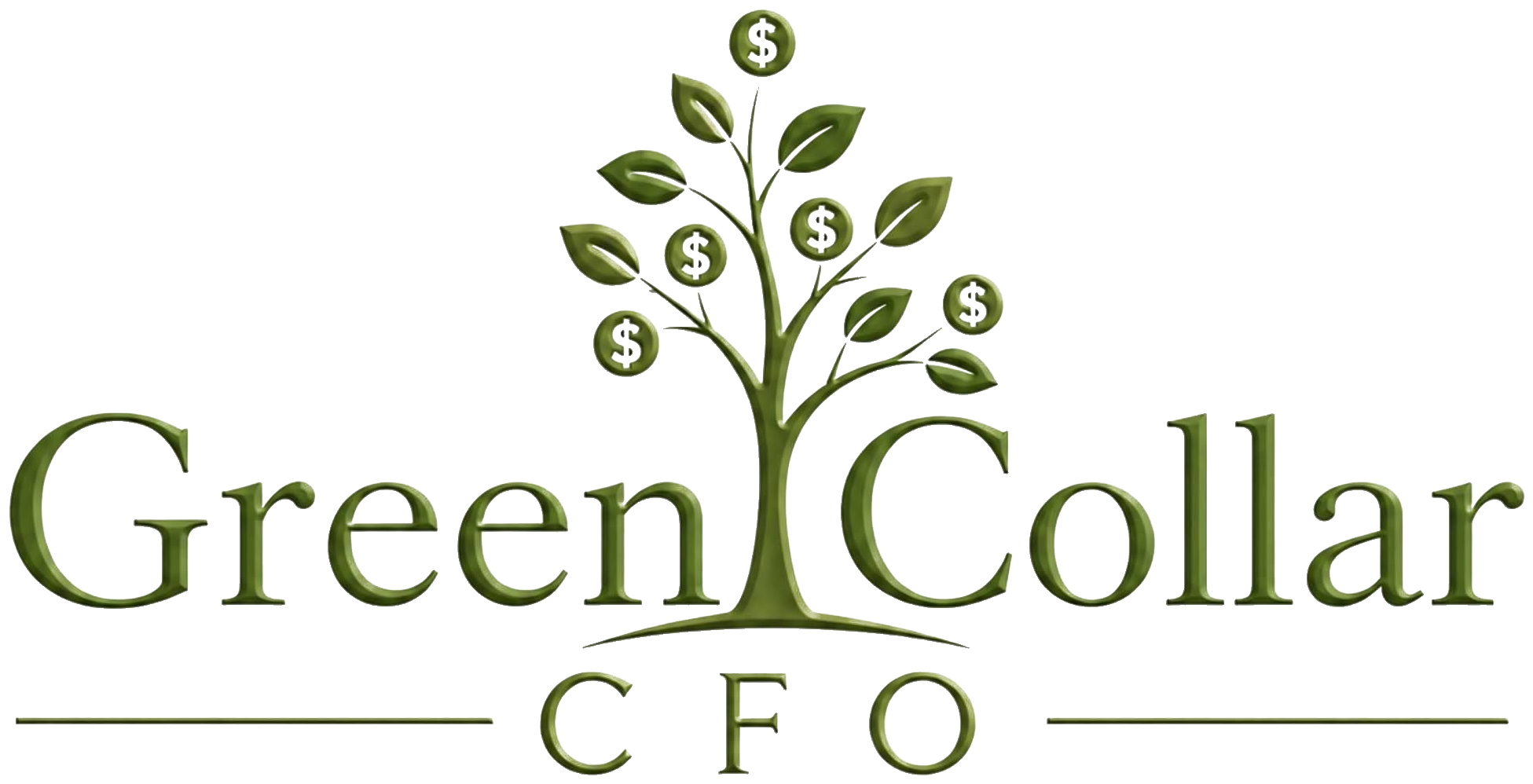 Green Collar CFO